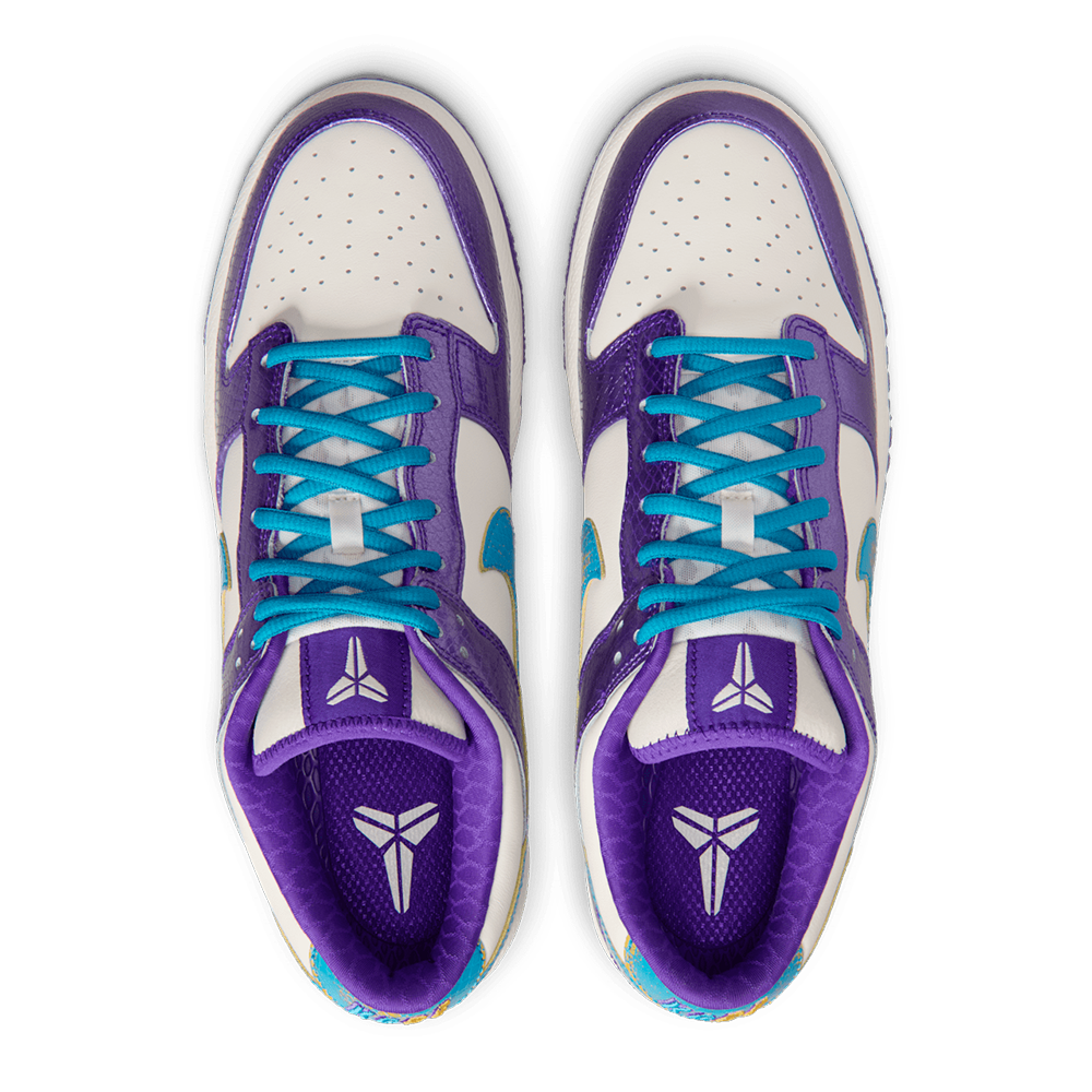 Nike Dunk Low Protro